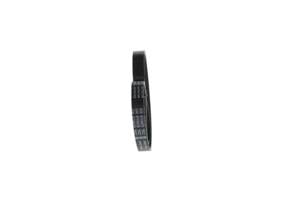 1 987 946 174 BOSCH V-Ribbed Belt for FIAT,LANCIA - Image 1 of 2