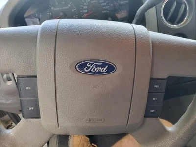 Bolsa de aire del volante usada se adapta a: Ford F150 2006 camioneta nuevo estilo conductor dirección Foto 1 de 4