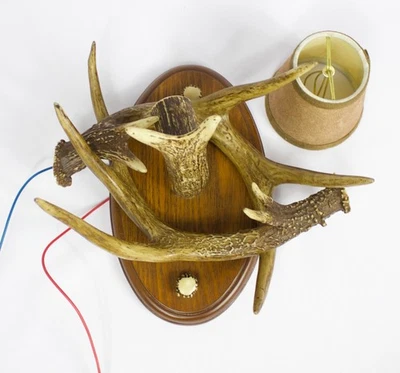 Aplique de pared imitación asta iluminación con pantalla con cable funciona Foto 1 de 4