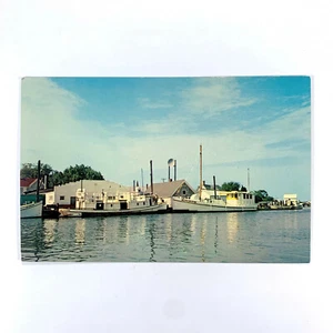 Postkarte Maryland Smith Island MD Ewell Harbor Belle Boot Schiff 1960er Jahre unbesendet - Bild 1 von 2