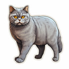 Autoaufkleber Sticker Britisch Kurzhaar Katze Aufkleber