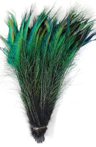 25 Pcs DYED PEACOCK SWORDS - BLACK 20-25"  Feathers; Costume/Hats/Bridal/Pads - Picture 1 of 1