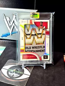 WWE 2023 Panini Immaculate WORLD WRESTLING ENTERTAINMENT VINTAGE LOGO PATCH ๐ - Picture 1 of 2