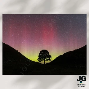 Sycamore Gap Picture Wall Art | Hadrian’s Wall Print | Poster Unframed  - Picture 1 of 3