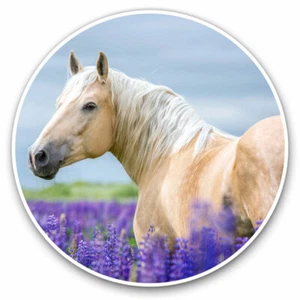 2 x Vinyl Stickers 30cm - Pretty Palomino Horse Pony Cool Gift #2552 - Afbeelding 1 van 9