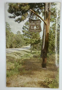 Postcard Sam Houston National Forest Sign Huntsville Texas H296 - Bild 1 von 2