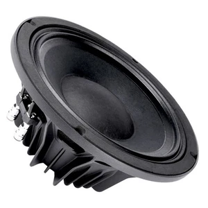 Altavoz de bajo rango medio wofer de alta eficiencia Faital PRO 10PR300 8ohm 10 - Imagen 1 de 4