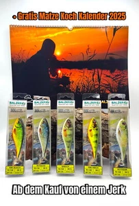 Balzer MK Super Natural Jerk 5 Farben 10cm 28g Matze Koch Jerkbait Swim Wobbler - Bild 1 von 11