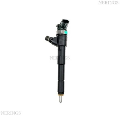 Inyector DACIA DUSTER LOGAN RENAULT KANGOO CLIO 1.5dCi 55-67kw 0445110652 Foto 1 de 2