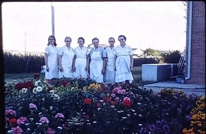 c.1960s Lunch Lady Flower Garden Squad Vintage 35mm Photo Slide - Bild 1 von 1