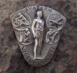 Svazarm Excellent Military Exercises Army Reserves Silver Award Pin Badge - Picture 1 of 2