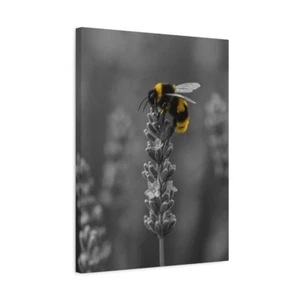 Bumblebee on Lavender Canvas Wall Art – Minimalist Nature Print | Yellow Accent - Picture 1 of 55