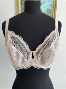 Freya Fancies Sheer Lace Full Figure Plunge Underwire Bra Size US 30H Coquette - Picture 1 of 7
