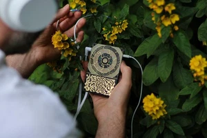 Instruo Pocket Scion Portable Biofeedback Sensor Instrument - Picture 1 of 8