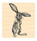 P137 Hare, rabbit rubber stamp