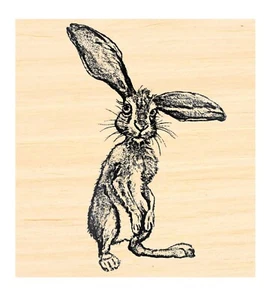 P137 Hare, rabbit rubber stamp - Picture 1 of 1