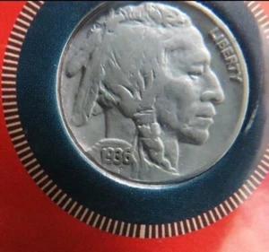 1936 Rare Buffalo Nickel In Case with Certificate of Authenticity - Picture 1 of 4