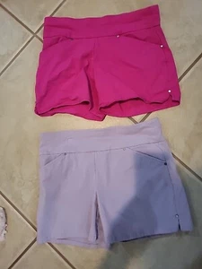 Lot of 2 Pair INC Shorts size 4P hot pink & 4 lilac stretch flat front shorts - Picture 1 of 5