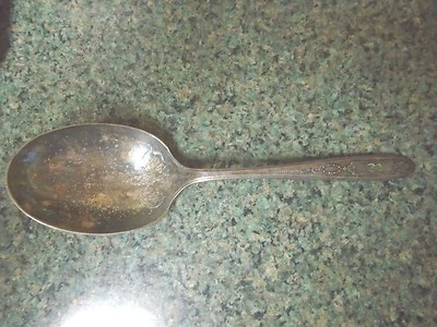 Plato comunitario, patrón Grossvenor, cuchara Berry, 1921, mono E 9 1/4" Foto 1 de 4