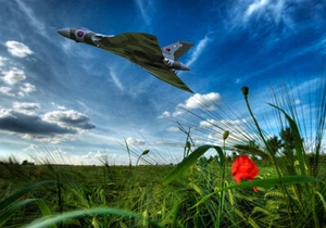 Avro Vulcan XH558 über Mohnfelder Leinwandbilder verschiedene Größen - Bild 1 von 1