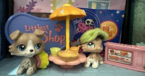 Littlest Pets Shop Collie #67 #1330 Blue Eyes Authentic Lot Lps ❤️