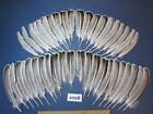 42 Pcs Natural Turkey Wing Feathers, Fly Tying Materials, Craft Feathers. (1098)