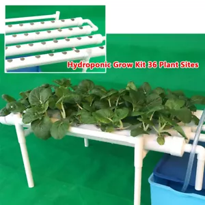 Sistema di irrigazione idroponica idroponica 36 fori Hydroponic Grow Kit giardino - Foto 1 di 14