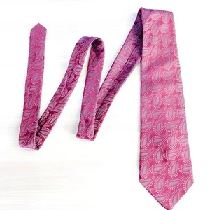 Jacquard Woven Tie Mens Red Wine Teardrop Paisley Silk Boho Necktie PAUL DIONE - Picture 1 of 8