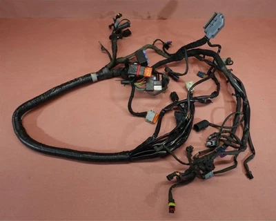 Harley Davidson Dyna Street Bob 2007-2011 FXDB arnés de cable principal telar de cableado Foto 1 de 4