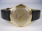 Rare Men's Wristwatch Glashütte Tradition Dr. Kurtz 