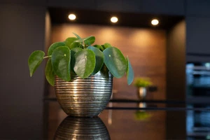 Fabio brass antique metal plant pot, D24cm - Picture 1 of 3