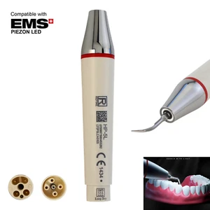 EMS PIEZON LED Dental Ultrasonic Piezo Scaler LED Handpiece HP-5L for MAXPIEZO - Picture 1 of 10