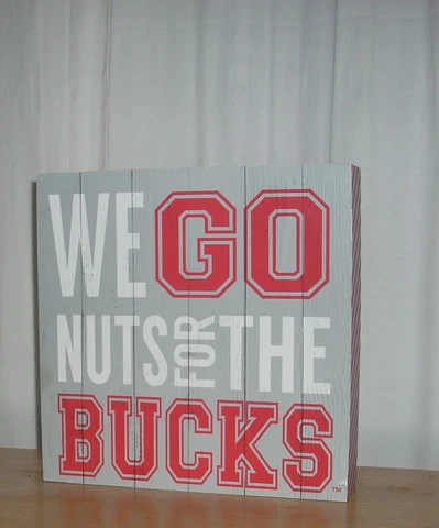 Ohio State Buckeyes "We Go Nuts for the Bucks" Square 10"x10"x2" Wall Plaque Cover