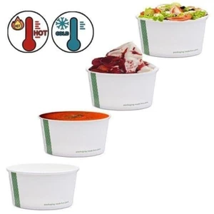 N90 Small Cardboard Biodegradable Compostable Ice Cream Containers 6oz x 50 - Picture 1 of 17