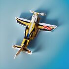 LEGO Technic•Propellerflugzeug•Sportflugzeug • 42044 • 👍