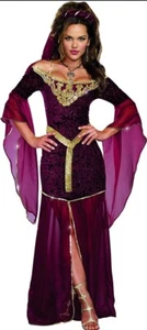 Dreamgirl Medieval Enchantress 3 Pc Set Fancy Dress Halloween Costume L New - Picture 1 of 7