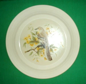 Hornsea Concept Decorative Plate American Bird Series Mockingbird Excellent - Picture 1 of 2