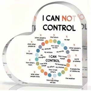 "I Can Not Control" - I Can Control - Acrylic Plaque Sign - Mental Health Gift - Picture 1 of 3