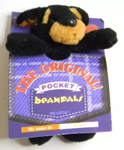 De colección Kellytoy The Original Pocket Beanpals Rocky juguete frijoles amigos Nuevo mini felpa - Imagen 1 de 4