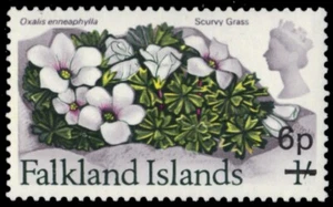 FALKLAND ISLANDS 205 - Scurvy Grass "1971 Provisional" (pb85080) - Picture 1 of 1