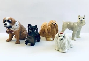 De colección Hagen Renaker Mini St Bernard Schnauzer Lhasa Apso Terrier Maltés 5 Perros - Imagen 1 de 21