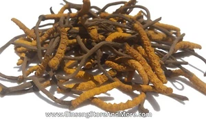 Ganzer wilder Himalaya Cordyceps Sinensis | 3 Gramm | Bestpreis! | Kostenloser Versand! - Bild 1 von 8