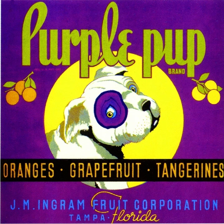 Tampa Florida Púrpura Cachorro Perro Naranja Cítricos Caja Etiqueta Impresión Artística Foto 1 de 1