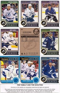 2014-15 OPC O-Pee-Chee Tampa Bay Lightning Complete Team Set w/ Stickers (22) - Picture 1 of 1