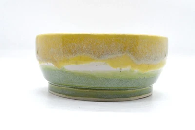 Olla bonsai hecha a mano - madreselva Foto 1 de 2