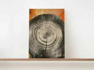 Orange Black Tree Ring Painting, Wood Unframed Canvas Print Australian Wall Art - Picture 1 of 4