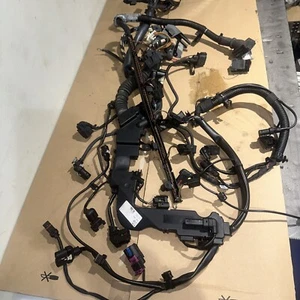 TELAR CABLEADO MOTOR BMW SERIE 6 COMPLETO N57D30B - Imagen 1 de 7