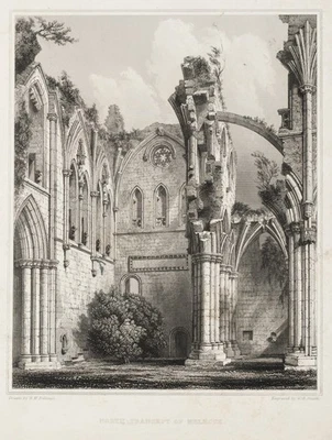SMITH (*1841) nach BILLINGS (*1813), Querschiff der Ruine Melrose Abby, Sst. - Bild 1 von 4