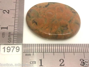 Rhyolite 6g pierre plate mineraux lithotherapie reiki collection décoration - Picture 1 of 2