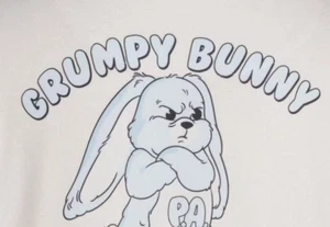 BNWT Peter Alexander Grumpy Bunny Club Sleep Top Size L Ladies - Picture 1 of 6